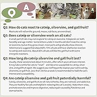 Vista 6 de Natural Catnip Toys for Indoor Cats Interactive Cat Nip Balls, 5Pcs, 2 Catnip, 2 Silvervine, and 1 Gall Fruit Ball