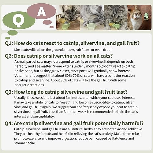 Miniatura 6 de Juguetes de hierba gatera natural para gatos de interior, bolas interactivas para pezones de gato, 5 unidades, 2 hierba gatera, 2 Silvervine, y 1