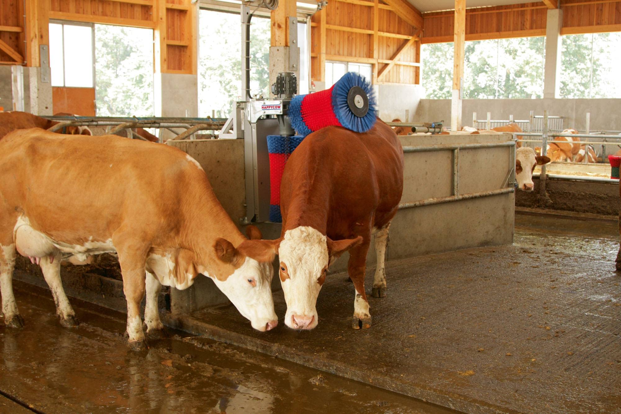 Kerbl Macchina per la Pulizia delle Mucche HappyCow Duo
