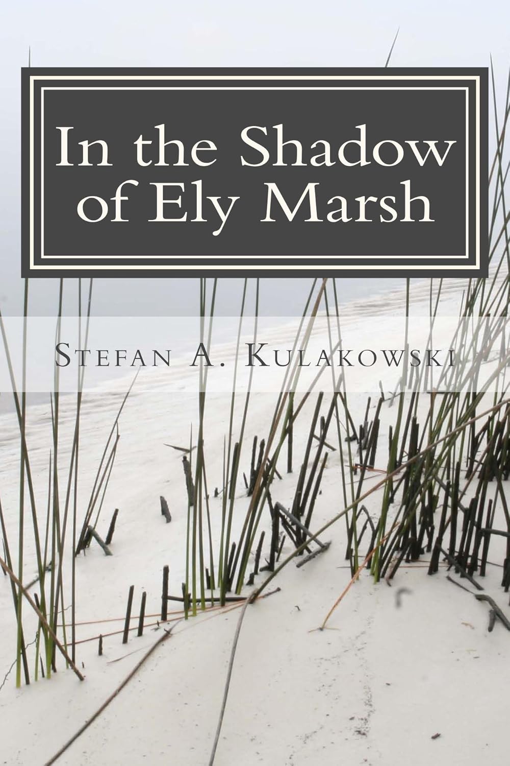 Amazon.com: In the Shadow of Ely Marsh eBook : Kulakowski, Stefan ...