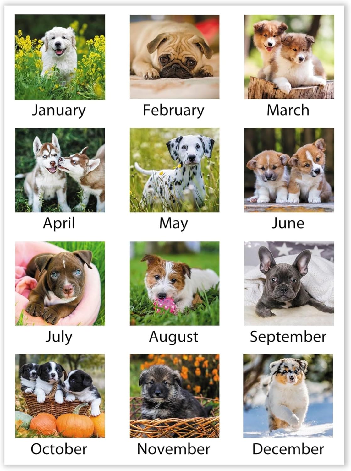2025 AT-A-GLANCE® Puppies Monthly Desk Pad, 21-3/4" x 17", Animals, January 2025 To December 2025, DMD16632
