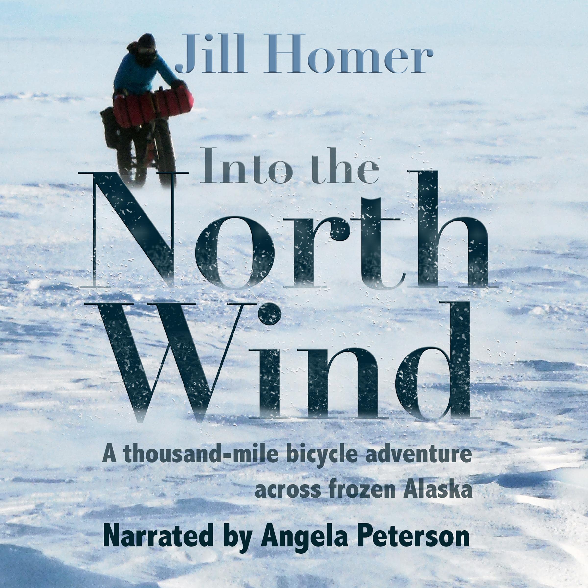Cover art for Into the North Wind