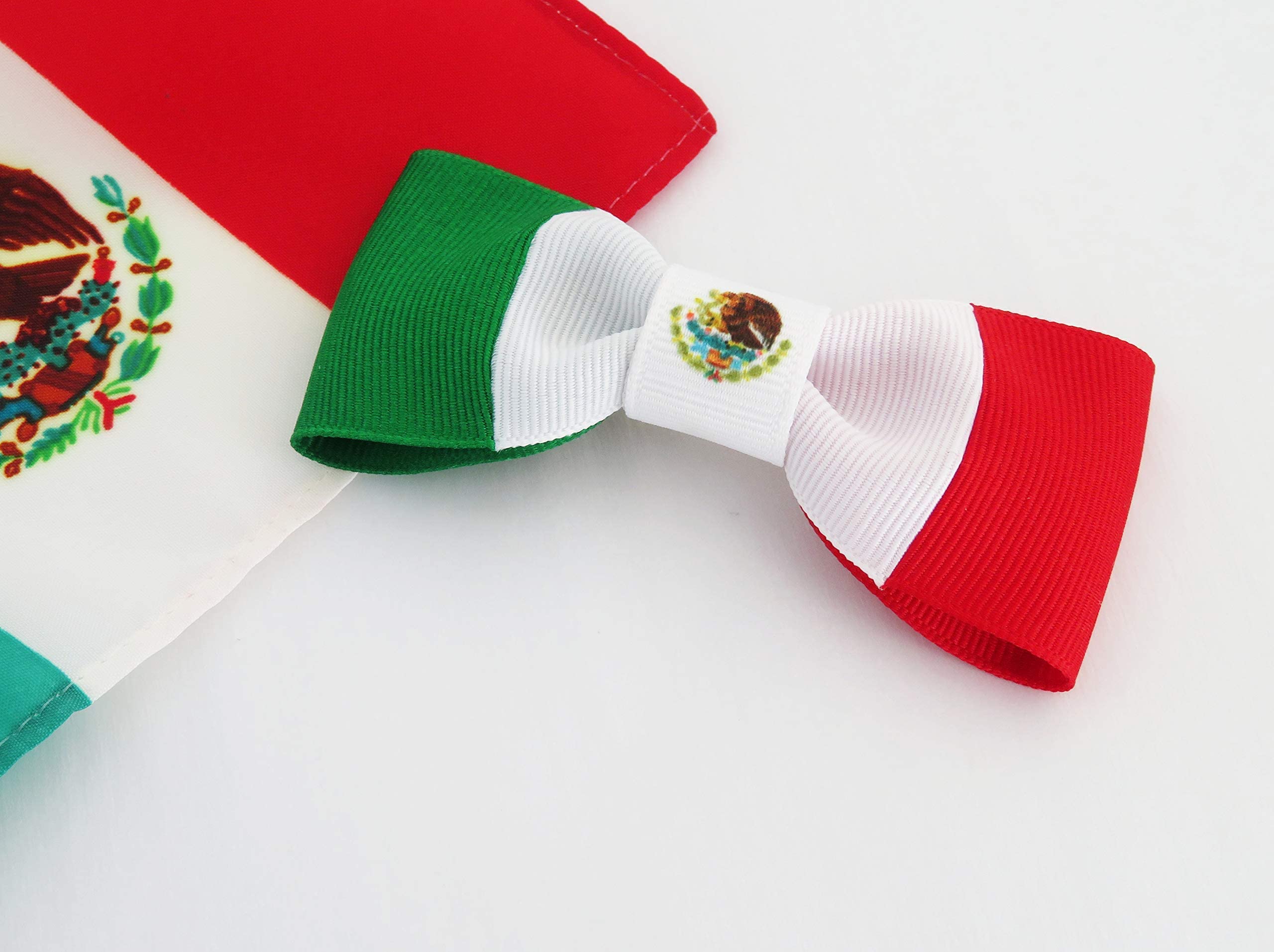 Handcrafted Mexico Flag Hair Bows, Grosgrain Ribbon & Metal Clip, 2 Pack Amazon.com: Mexico Flag Hair Bow Girls Women Hair  main image 3