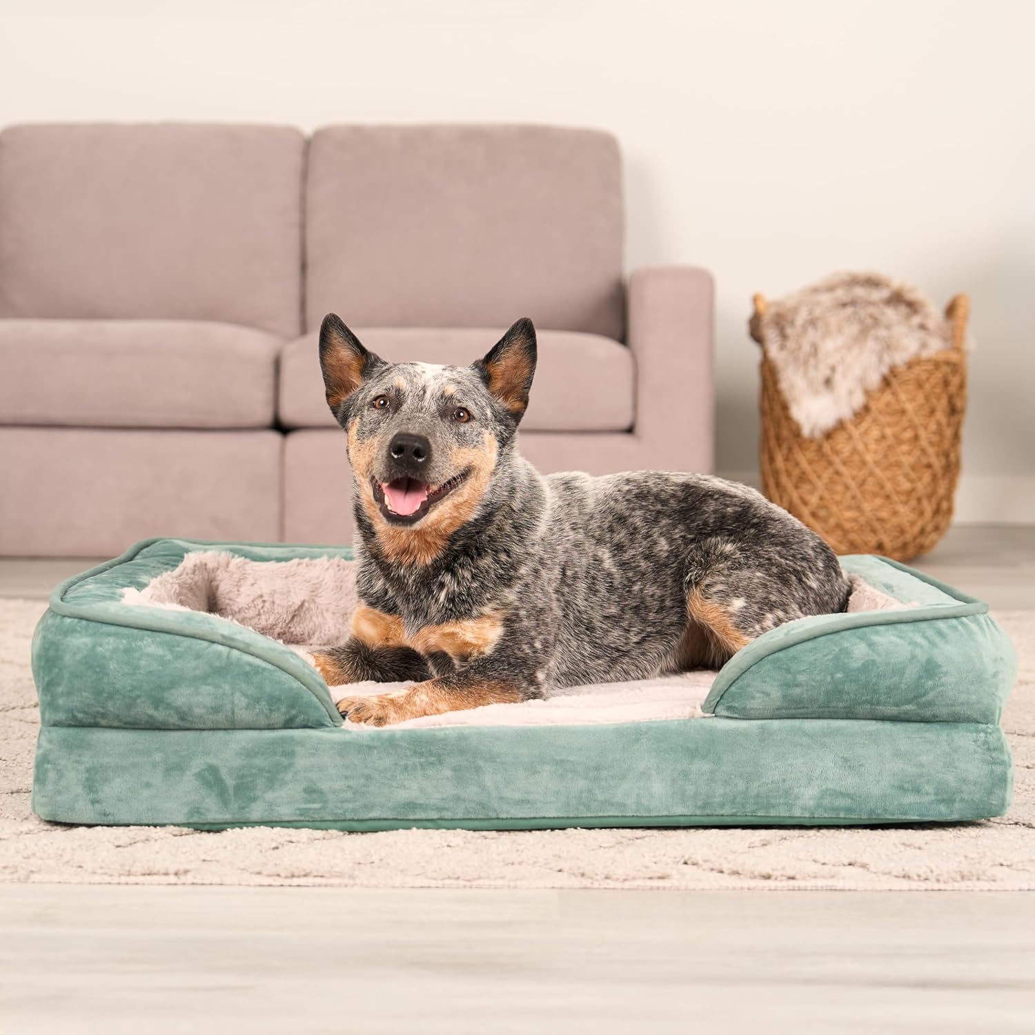 Chill Out Your Pup: Furhaven Cooling Gel Dog Bed Review