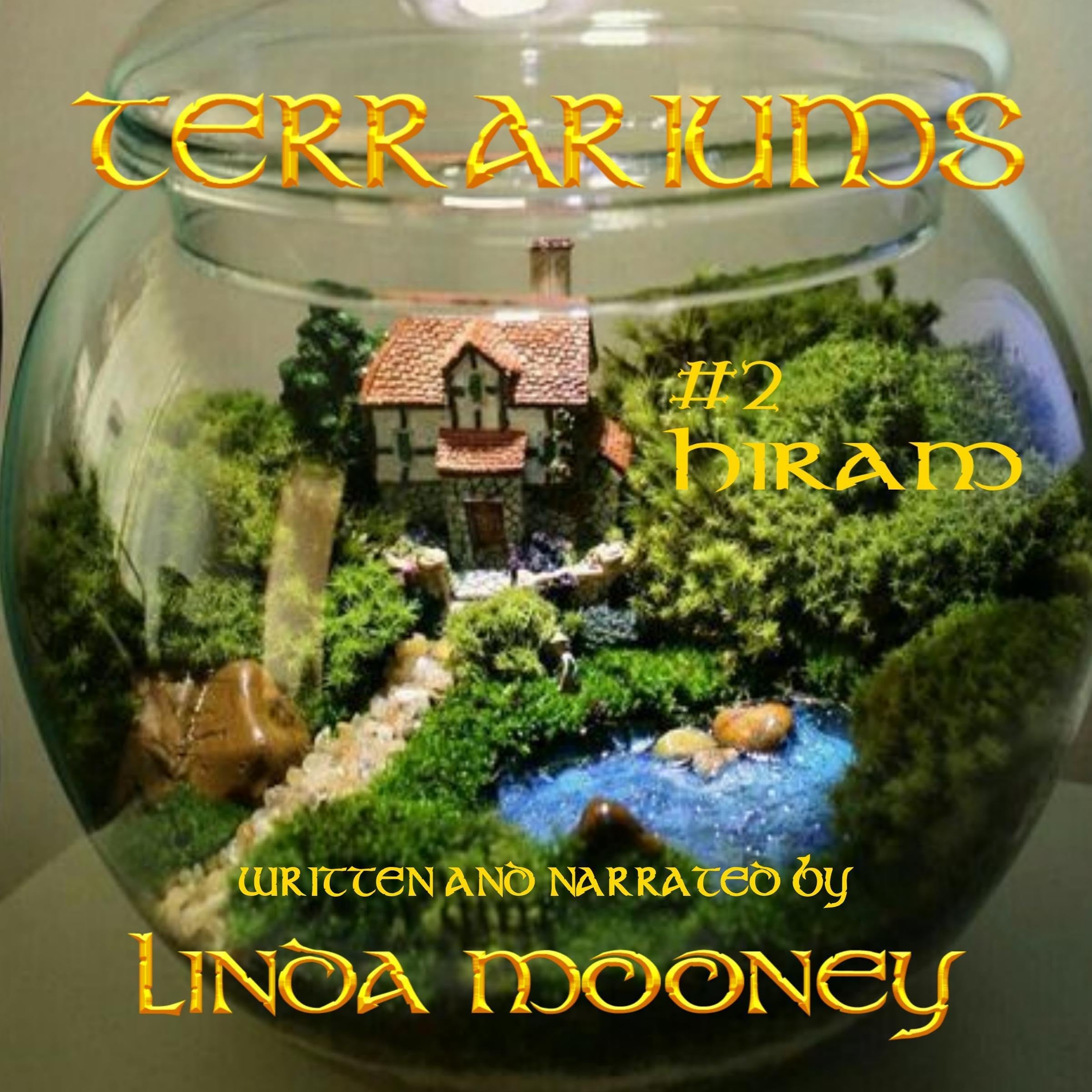 Cover art for Hiram