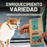 Ver la foto 6