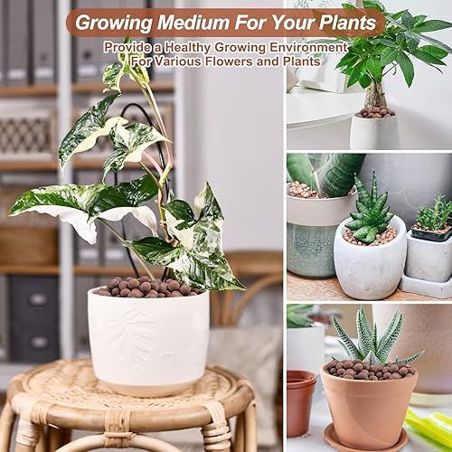 Miniatura 12 de Riare Guijarros de arcilla expandida orgánica de 14 libras para plantas, bolas de leca natural de 0.157 a 0.630 pulgadas, ligeras piedras