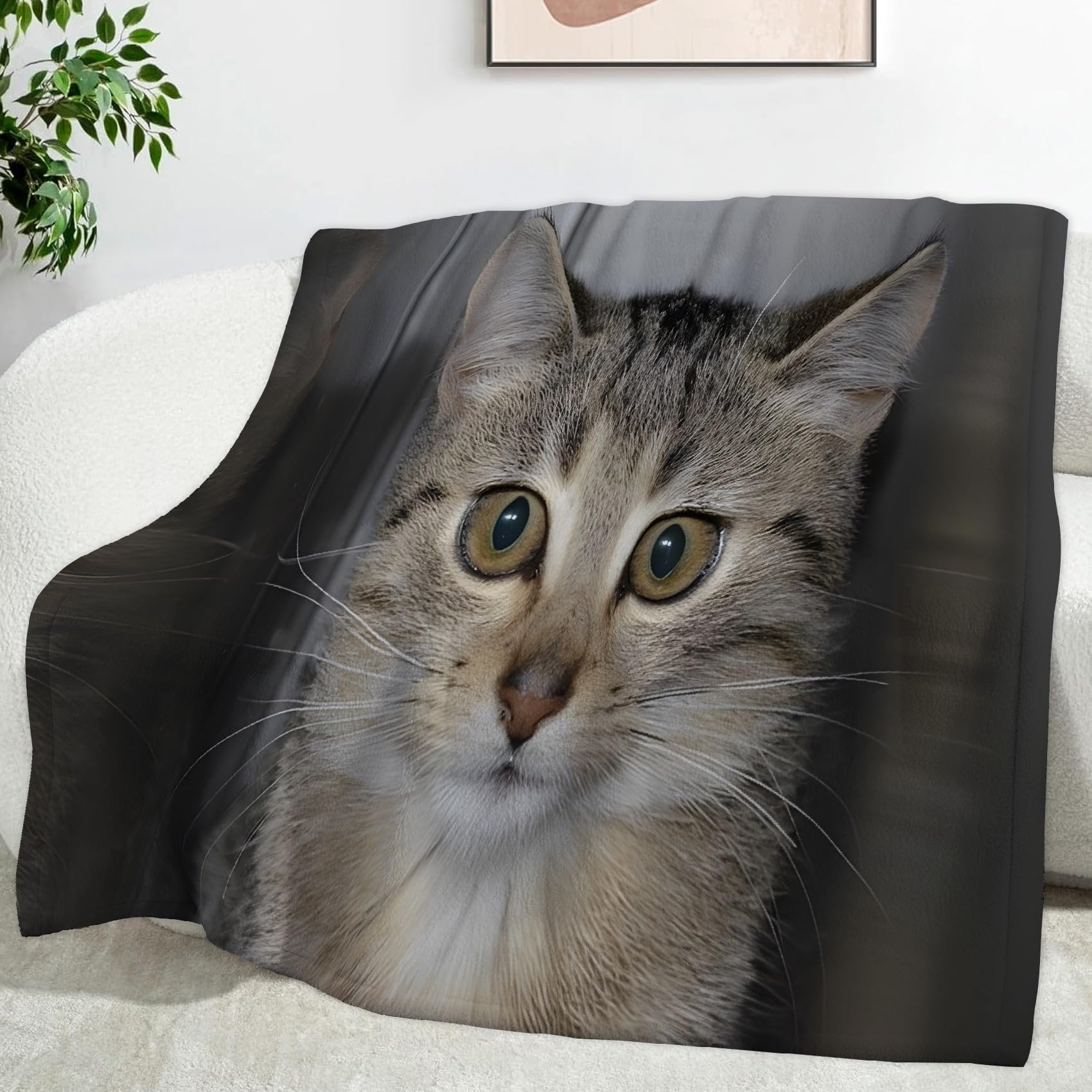 Ypthriline Big-Eyed Tabby Cat Blanket, Animal Photography Microfiber Flannel Throw Blanket, Comfortable Soft Fluffy and Warm, Blankets for Beds, Sofas and Recliners, 230×270 CM