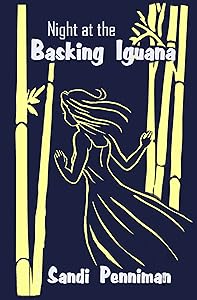 Night at the Basking Iguana