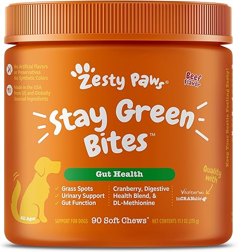 Zesty Paws Stay Green Bites for Dogs - Masticables suaves para quemar hierba para manchas de césped causadas por la orina del perro, con arándano
