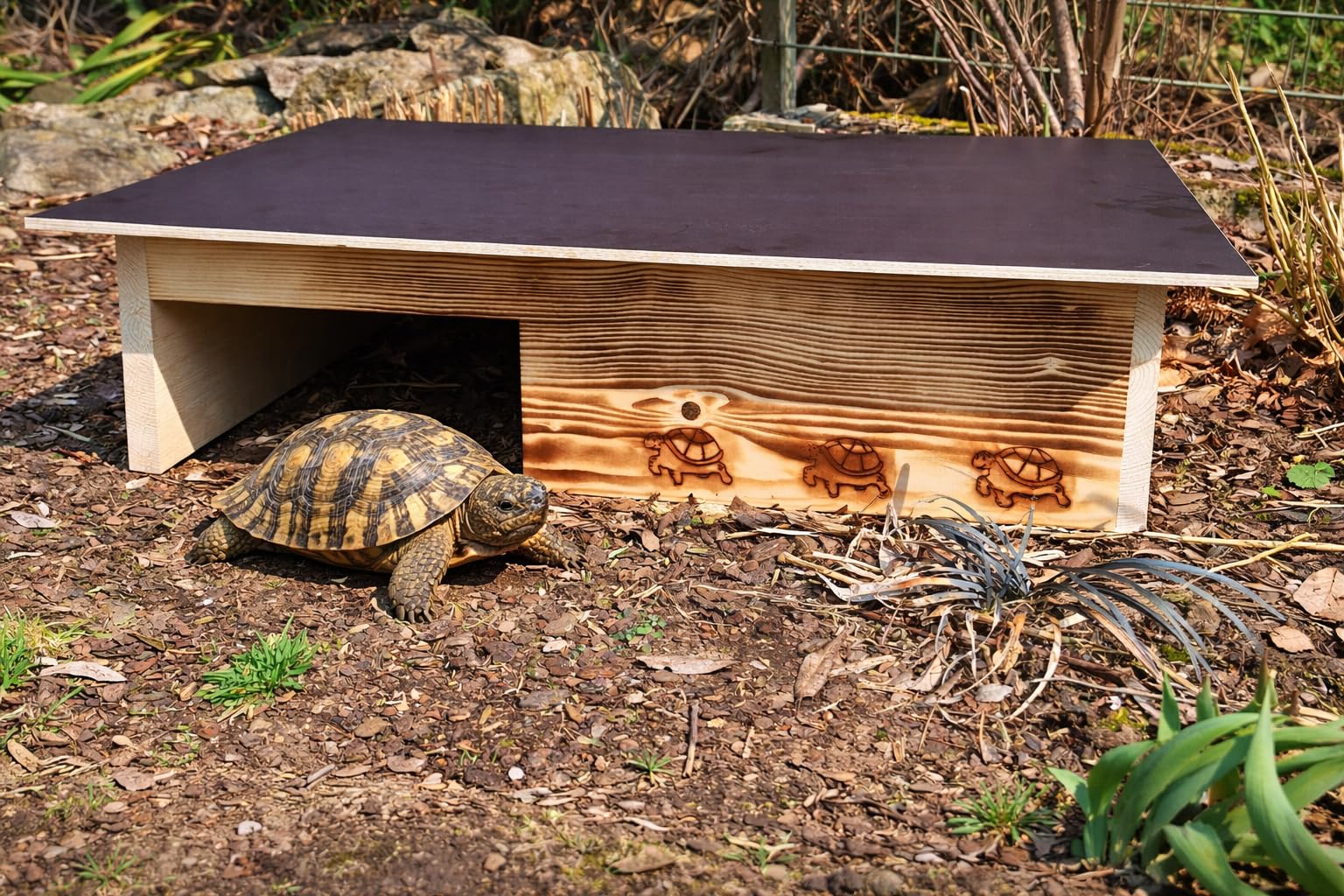 Casetta per tartarughe in legno massiccio da 20 mm, con ruota libera