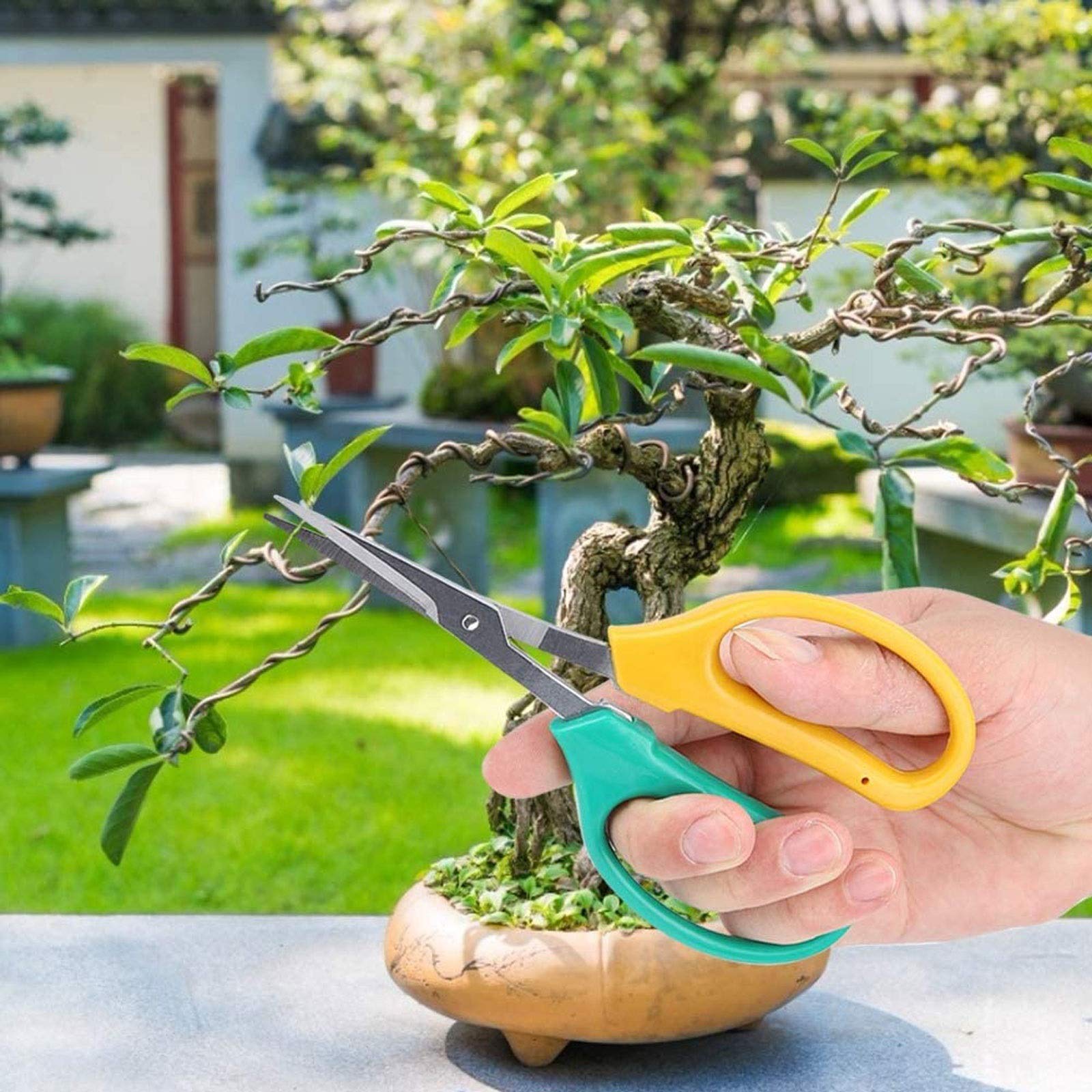 Gartenschere für die Gartenarbeit, Edelstahl, Garten-Bonsai, Bonsai-Schere, Trauben-Schere, stoßdämpfendes Kissen, Gärten, Blumen, für Obstbäume, Baumschule