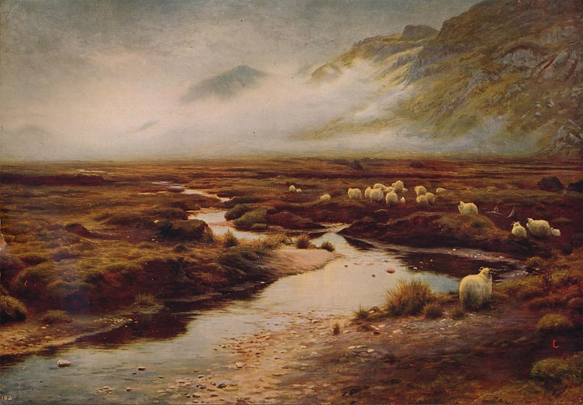 Cuadro de lienzo il muschio a Poolewe 60x90cm ideal regalo 5