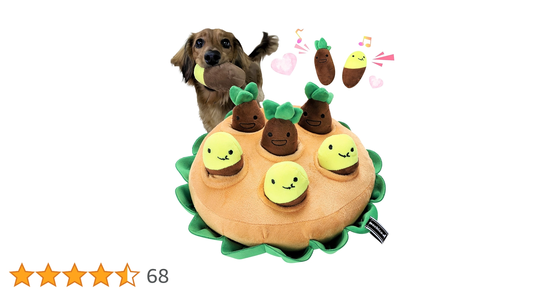 81stxpQlJxL.jpg_BO30,255,255, 81stxpQlJxL.jpg_BO30,255,255,