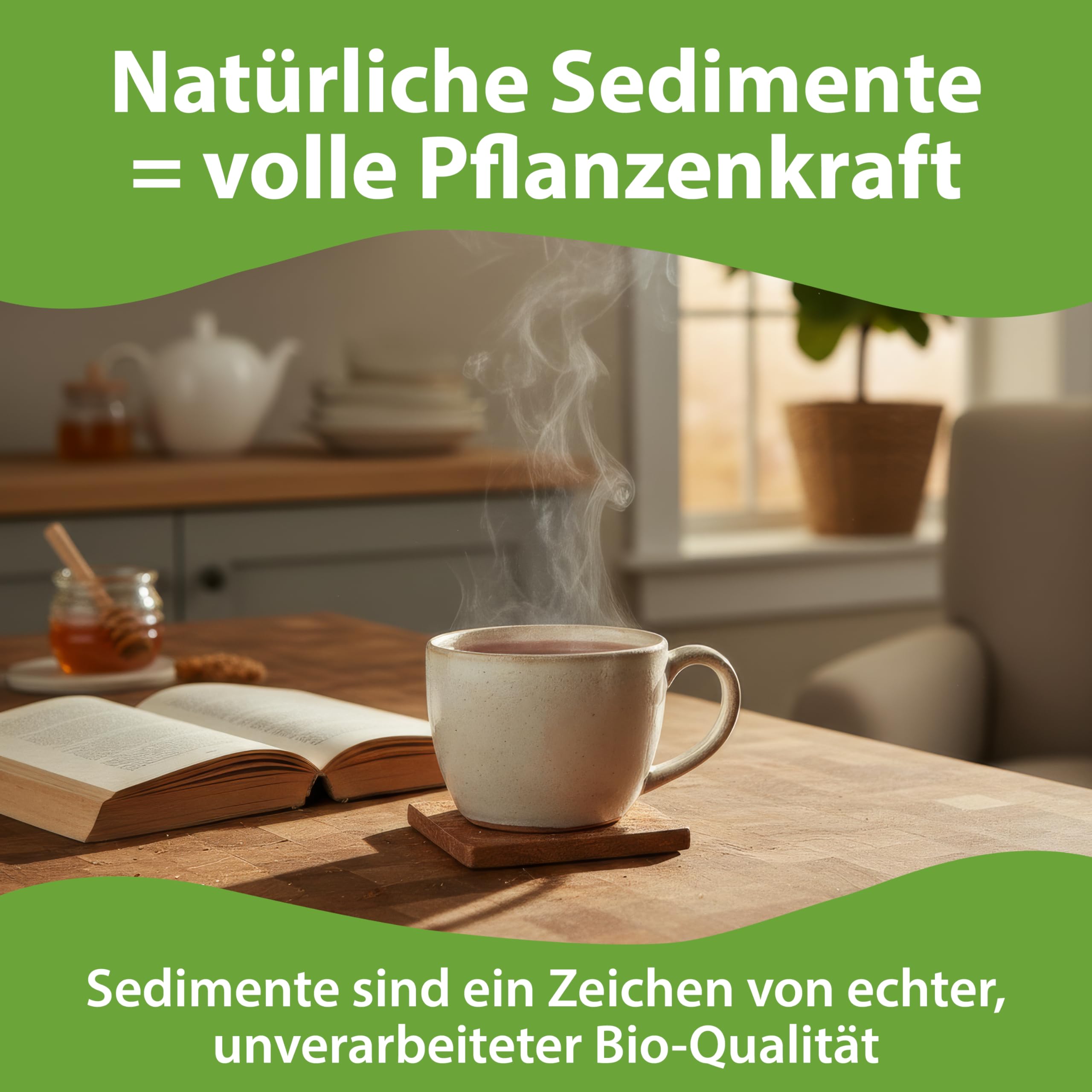 TEABALLS BIO TEA – 5ER SET SUPER FIT MIT PAM – Ingwer-Kurkuma-Orange, Chai Latte, Choco Chai, Sencha, Rothenberger Kräutermix – ca. 200 Tassen – Tee ohne Beutel, nur mit heißem Wasser – Geschenkidee