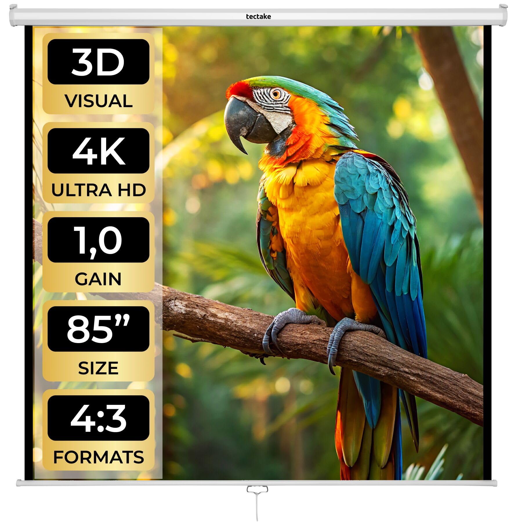 tectake® Schermo Proiettore 152x152cm, Avvolgibile, Diagonale 84", Gain Factor1.0, Formati 1:1, 4:3, 16:9, Schermo a Parete, Soffitto, Cinema a Casa, Home Cinema, Ufficio, Ottimizzato per HDTV e 3D