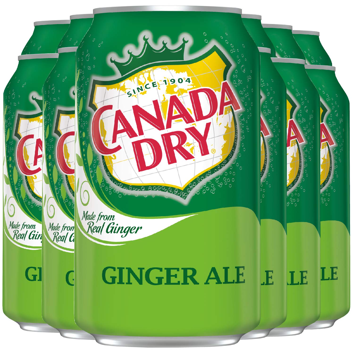 CANADA DRY Ginger Ale 355ml 12er Pack