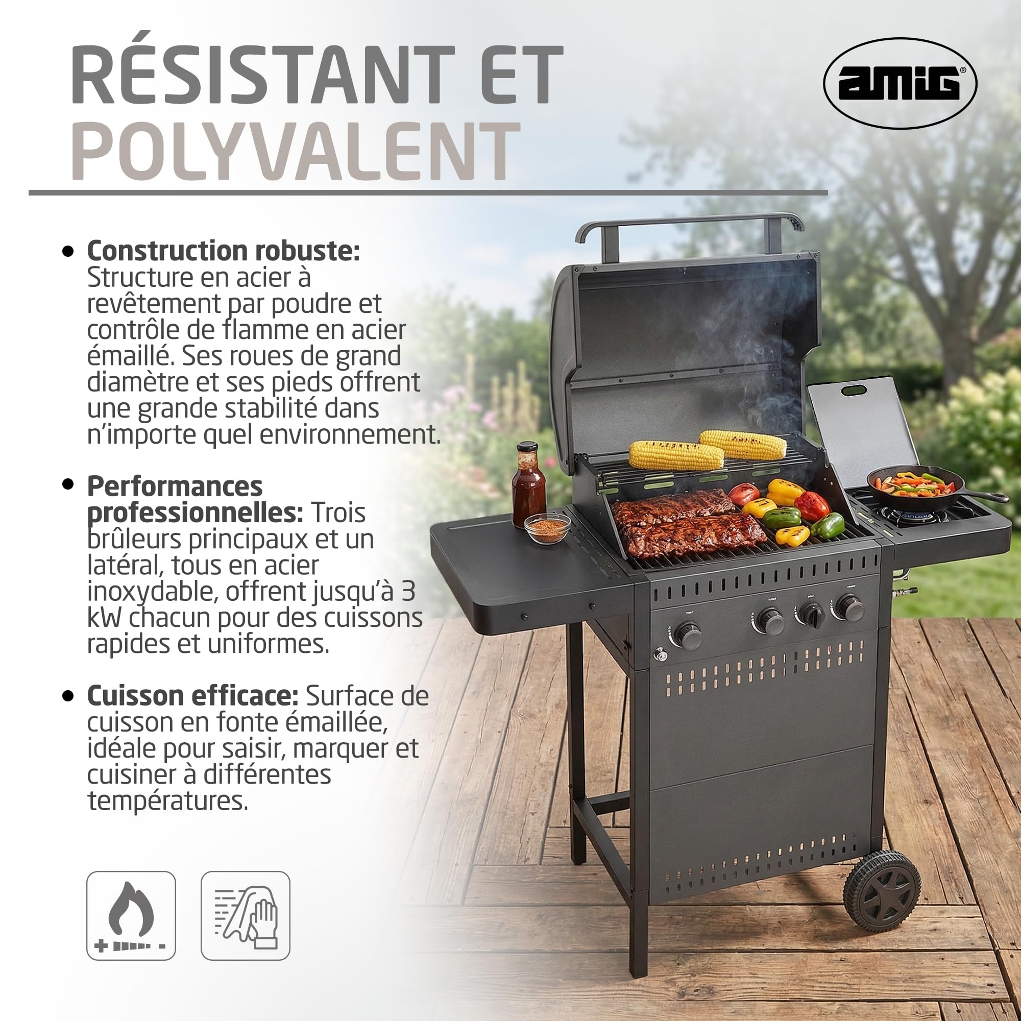 Amig - Barbecue à gaz IGNIS 3+1 (3 brûleurs + 1 latéral) - 117 x 55 x 110 cm - Surface de cuisson 54 x 38 cm - Avec thermomètre, tablettes latérales, roues et grille en fonte - Noir