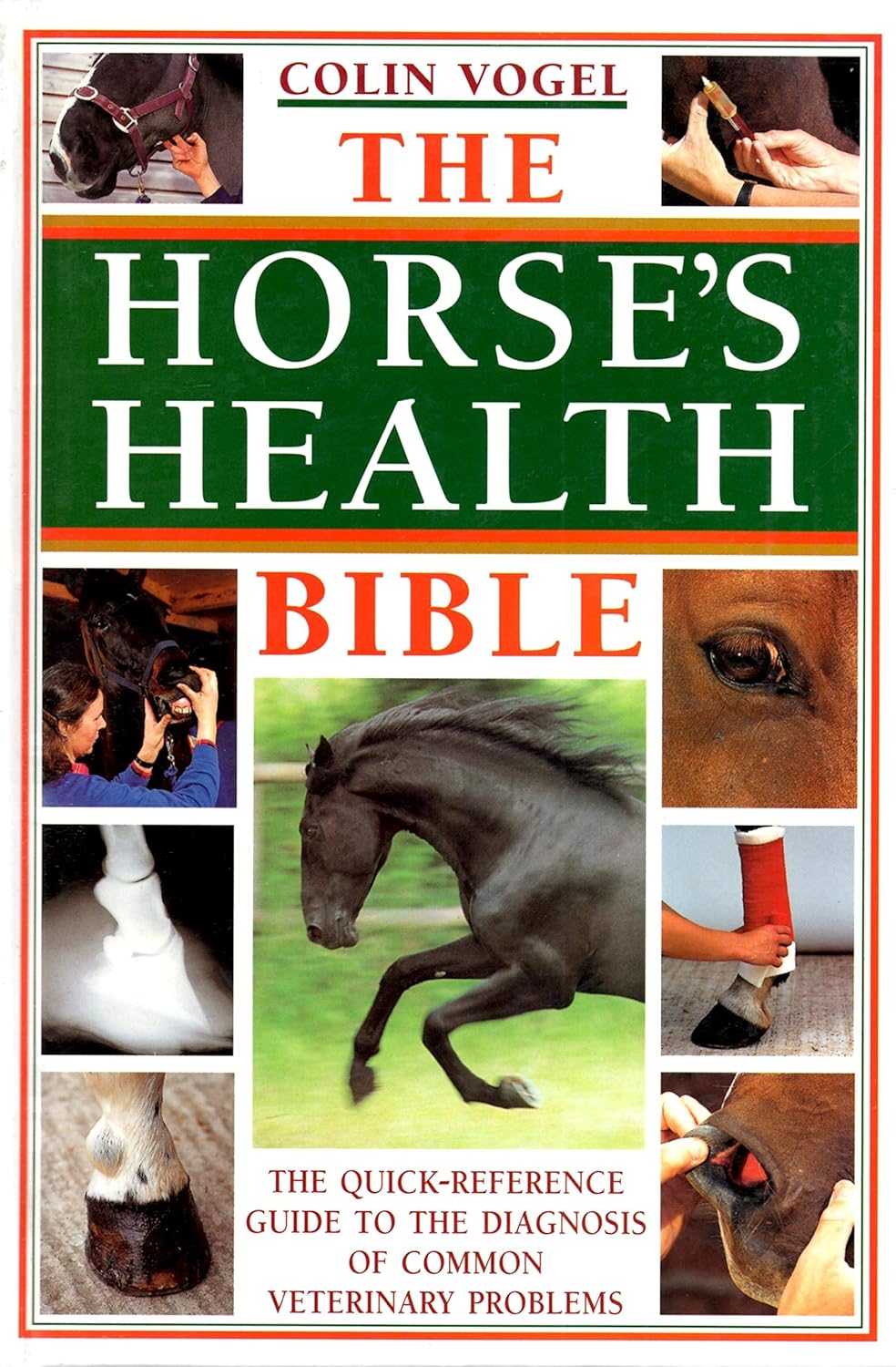 The Horse’s Health Bible The Horse’s Health Bible