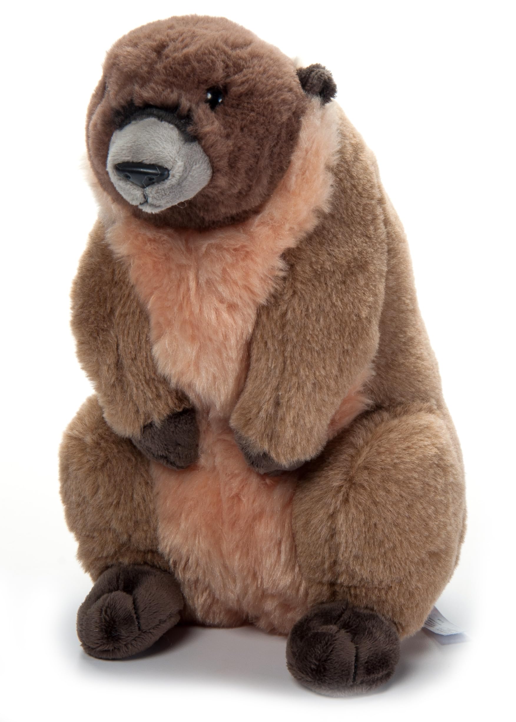 Amazon.com: The Petting Zoo Marmot Stuffed Animal Plushie, Gifts