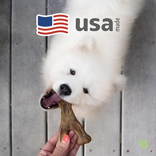 Vista 27 de Benebone Wishbone - Juguete masticable duradero para perros masticadores agresivos, cacahuete real, fabricado en Estados Unidos, gigante