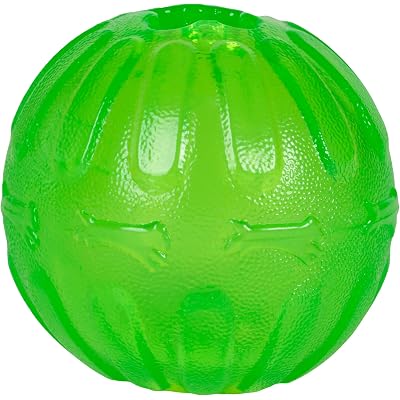 Treat Dispensing Chew Ball, Large