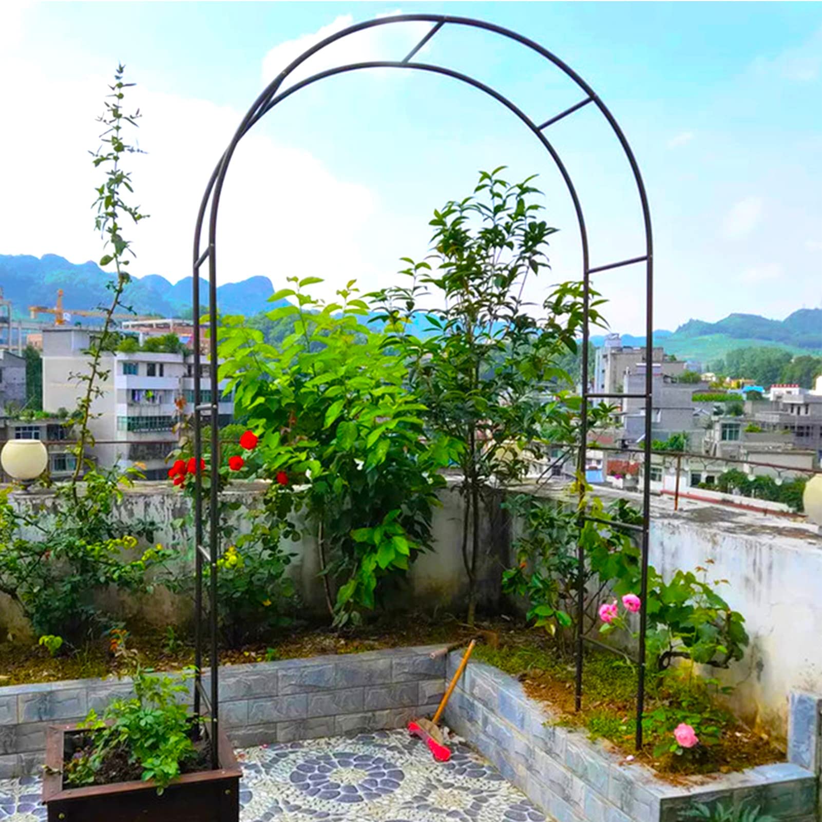 Arche de jardin en métal avec treillis robuste et support de plantes résistant