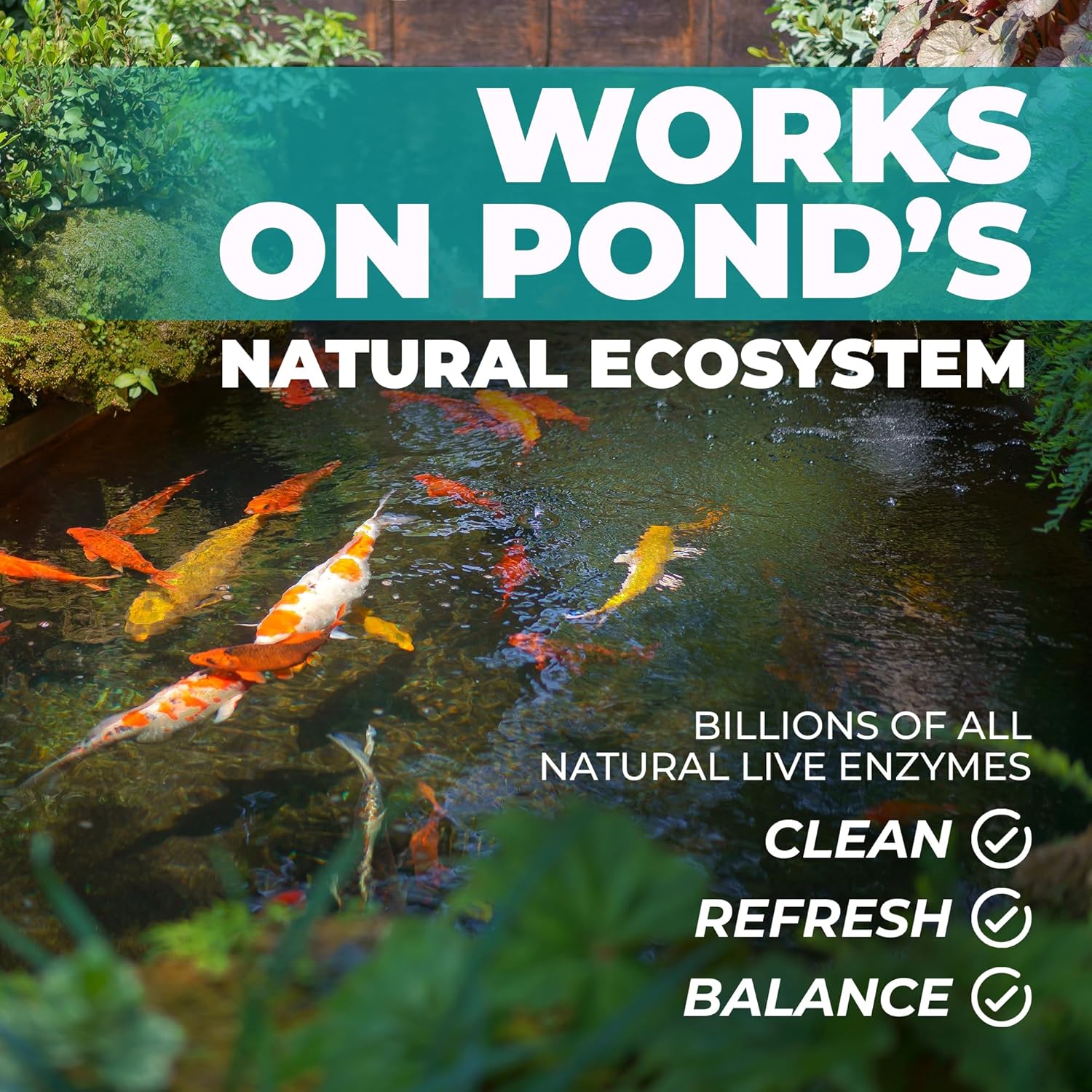 Transform Your Pond: The Ultimate Review of Natural Pond Care Ball for Effortless Maintenance