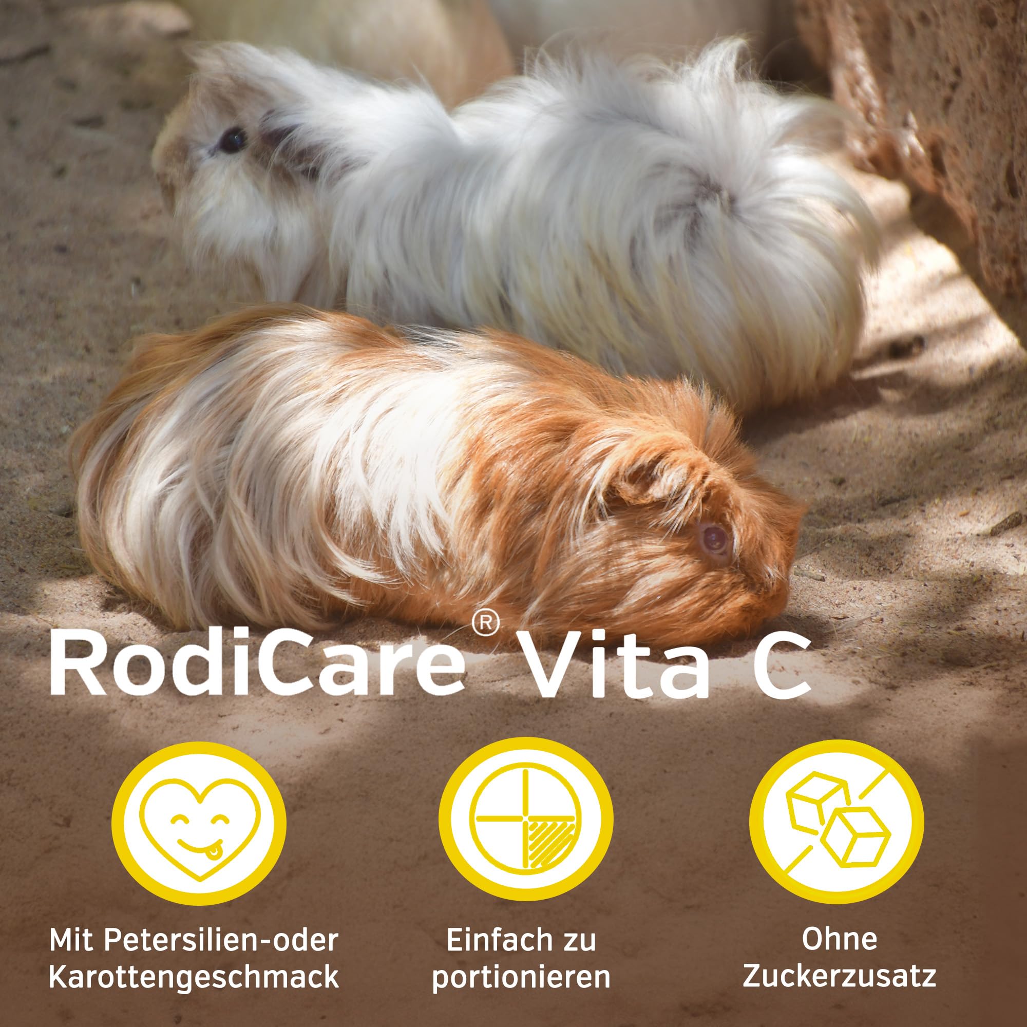 alfavet, RodiCare Vita C - Complemento de Vitamina C para cobayas y roedores pequeños, sin azúcar, 30 g (40 Comprimidos de 750 MG)
