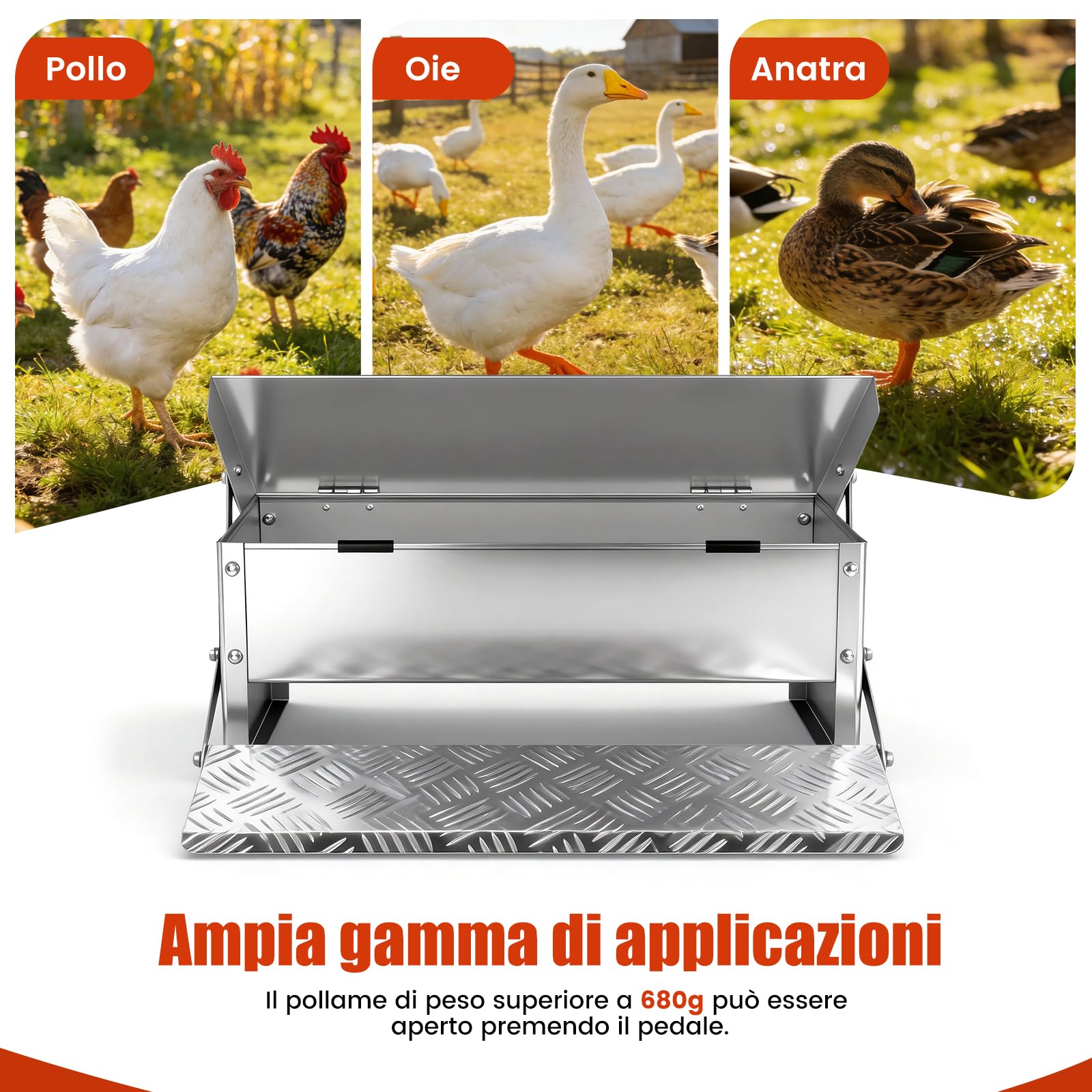 Mangiatoia per Polli a Pedale, Mangiatoia Automatica per Polli da 5 Kg, Senza Sprechi, con Coperchio Resistente Alle Intemperie per Galline e Anatre