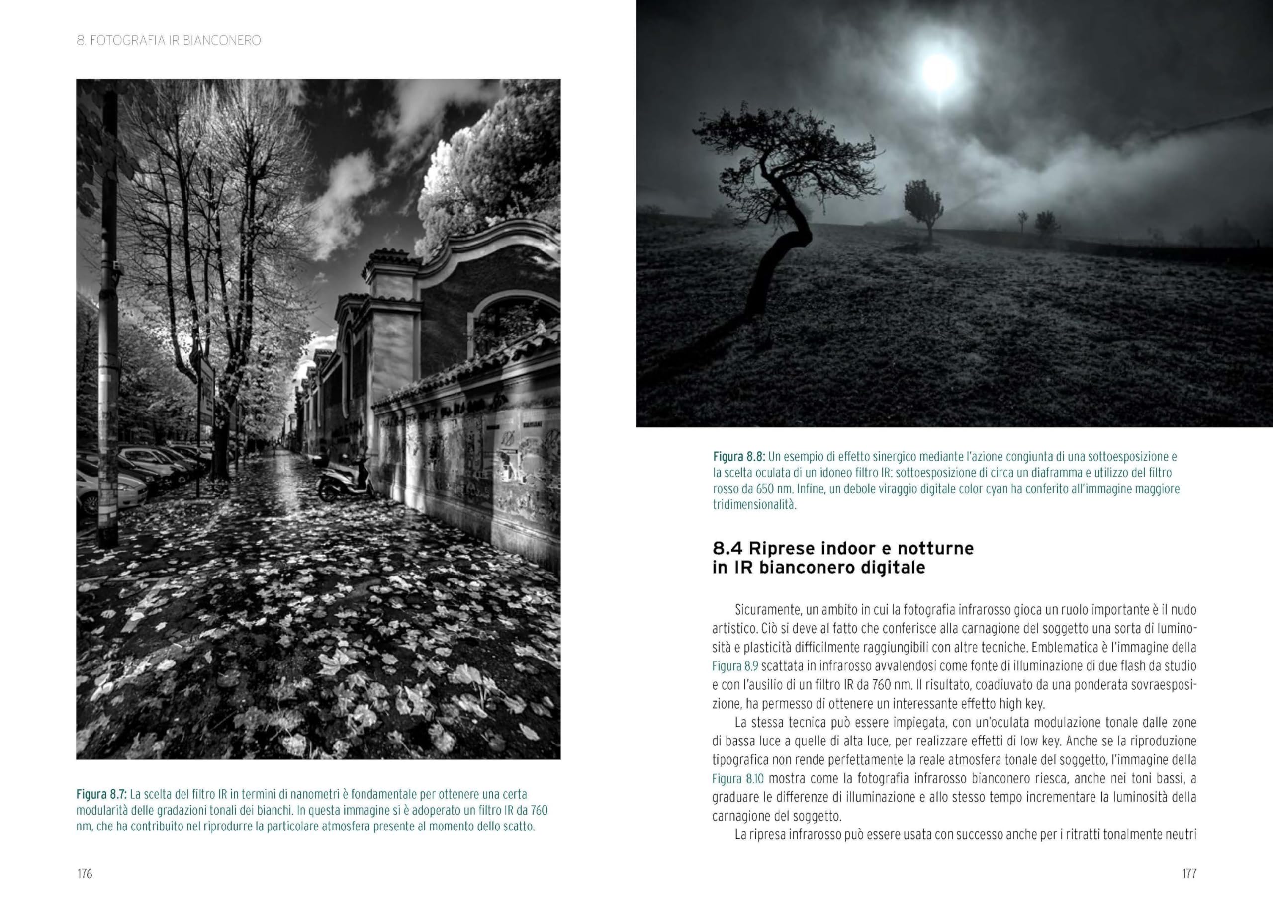 Manuale di fotografia infrarosso a colori e in bianconero. Guida completa dall'acquisizione all'elaborazione delle immagini