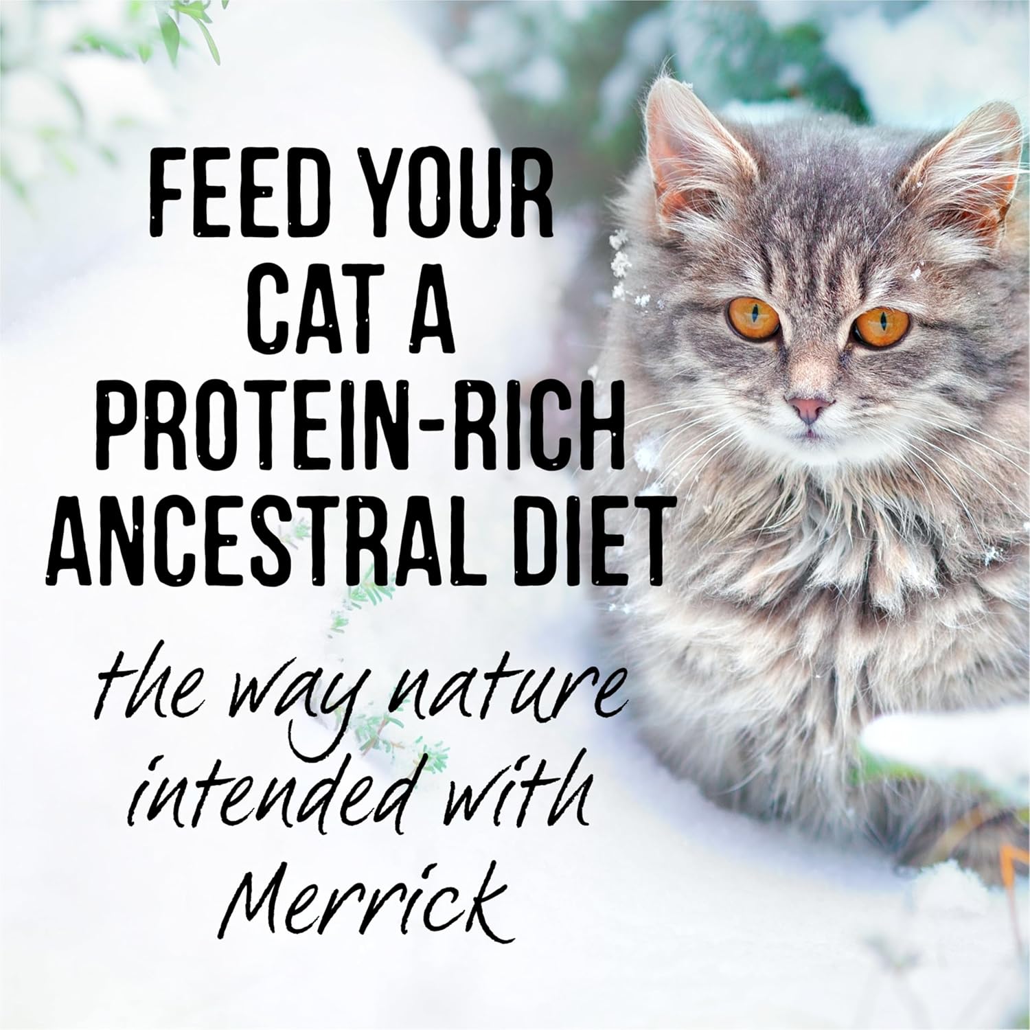 Merrick Backcountry Grain Free Gluten Free Premium High Protein Wet Cat Food, Turkey Recipe Cuts With Gravy - (Pack of 24) 3 oz. Pouches