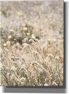 Epic Graffiti 'Sweet Vintage Field' by Yass Naffas Designs, Giclee Canvas Wall Art, 12"x16"