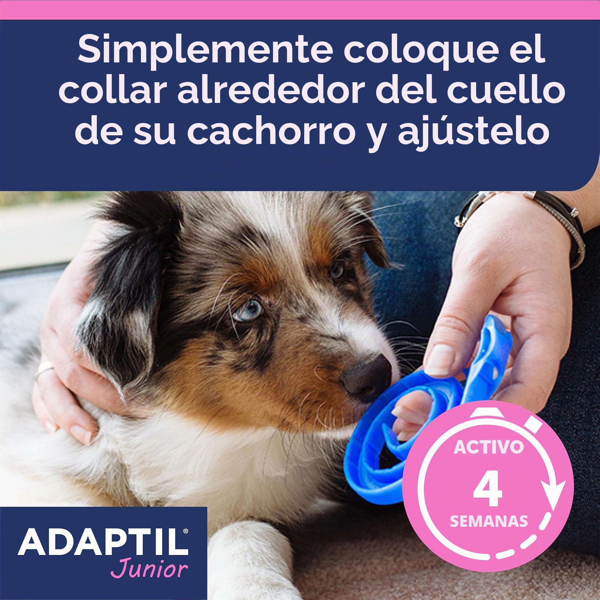 CEVA Adaptil Junior - Collar para Perro. 46,5 cm