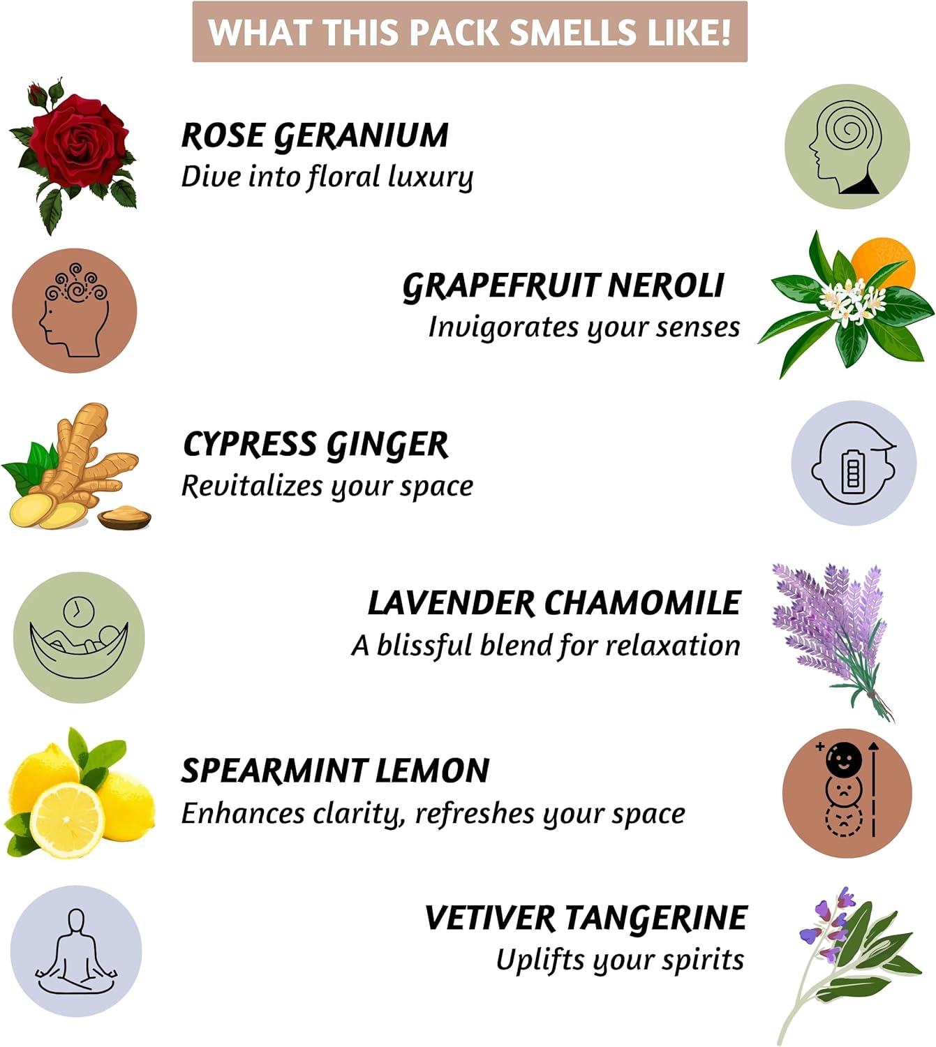 Folkulture Backflow Incense Cones (120 Cones) | Set of 12 Waterfall Insence Cones for Meditation, Aromatherapy, Gifts | No Charcoal, Organic, Non Toxic Frankincense, Palo Santo Scented Inscents-Cones