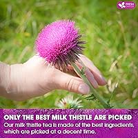 Vista 6 de FreshDrinkUS, 15 bolsas de té de cardo mariano premium, 100% natural y puro de semillas de cardo mariano. Té de hierbas con semillas de cardo