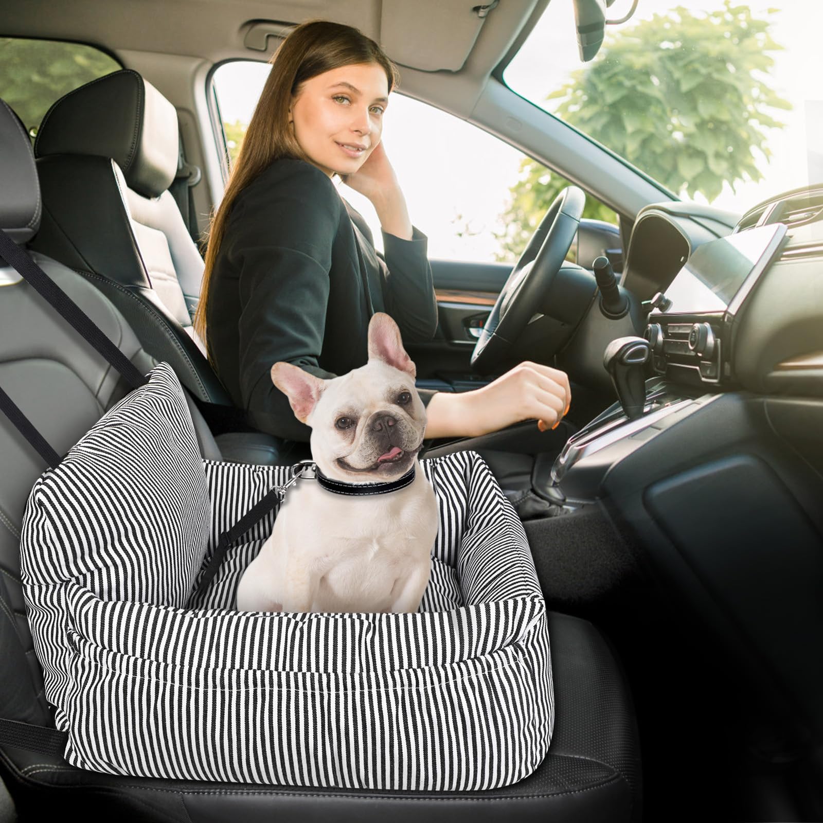 Asiento Perro Coche Pequeño, Cama Perro Coche Segura y Cómoda, Silla Perro Coche Estable con Correa de Seguridad y Bolsillos Laterales, para Coche, SUV, Truck