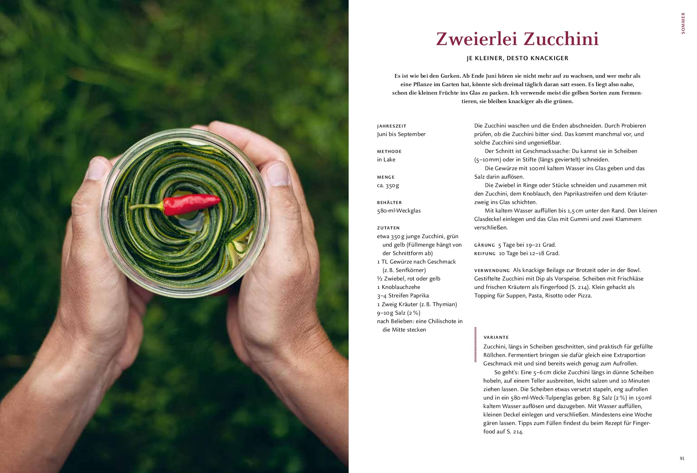 Gemüse und Obst einfach fermentieren: Rezepte und Grundwissen für sicheres Gelingen. Regionale und saisonale Lebensmittel durch Fermentation haltbar machen – natürlich, nachhaltig, gesund
