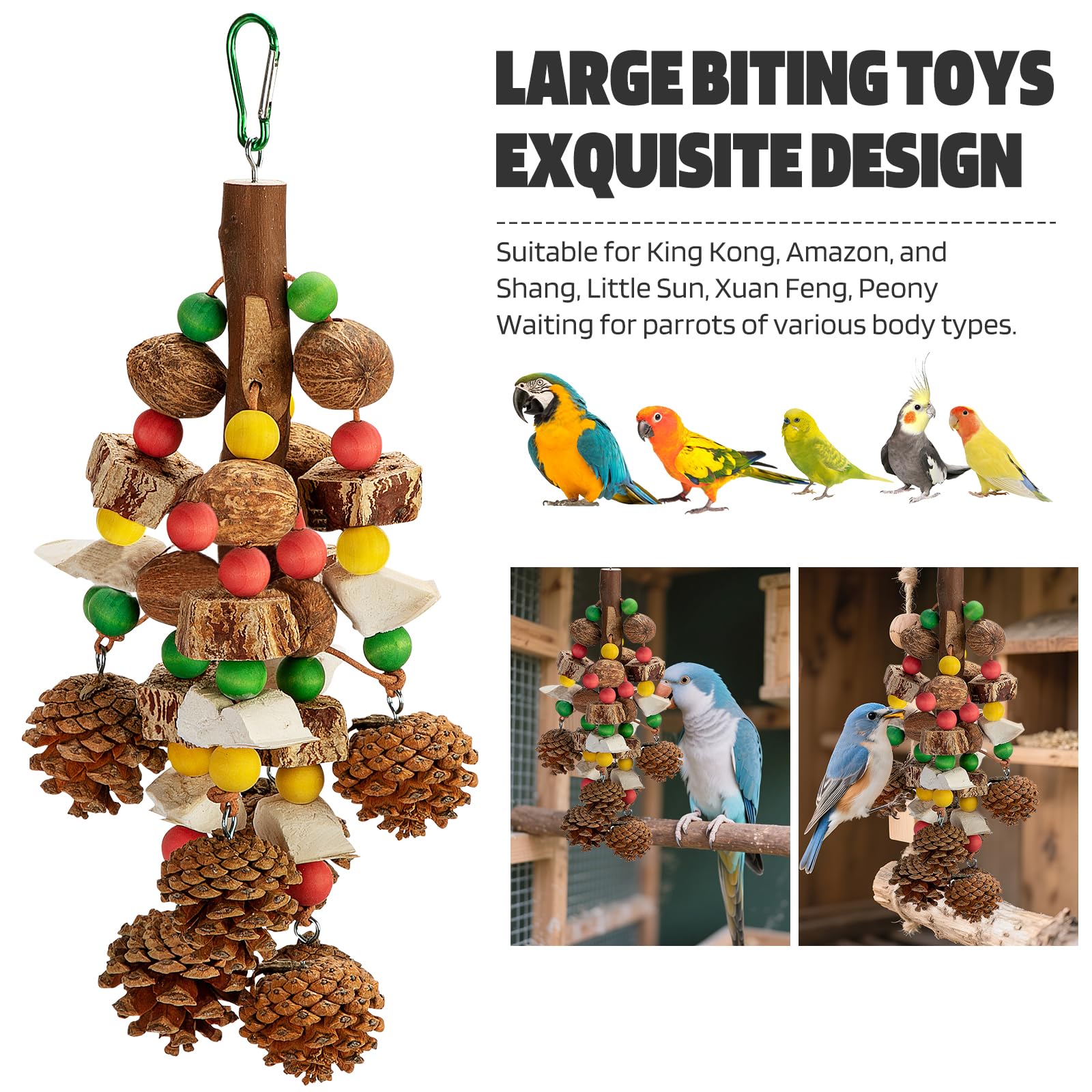 Newsmy Parrot Chewing Toys, Nuts Parrot Toys Supplement Calcium, Containing Natural Materials, Cuttlefish Bone - Image 4