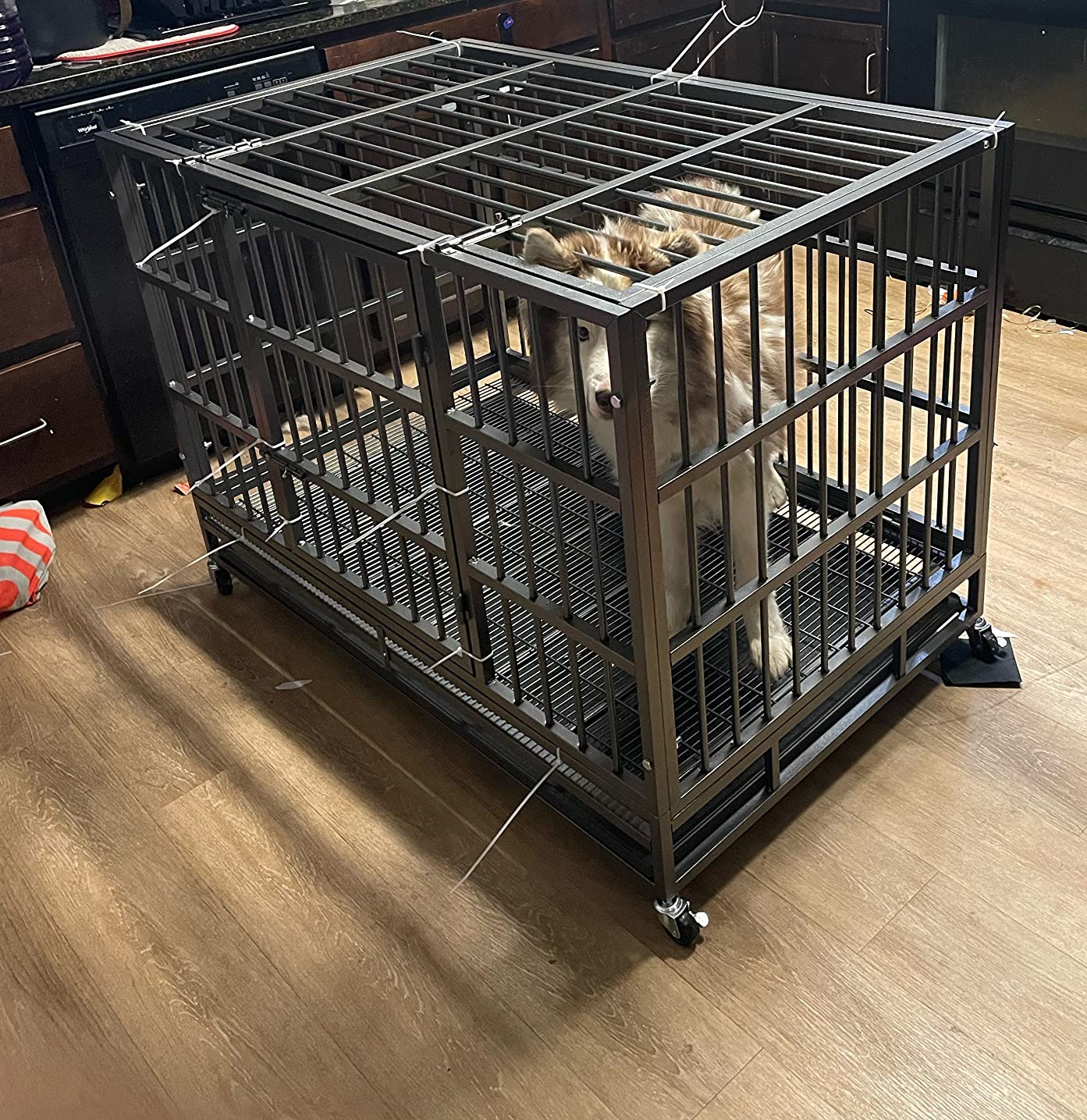 42/mo Finance Otaid 48 Inch Heavy Duty Dog Crate Cage Kennel with