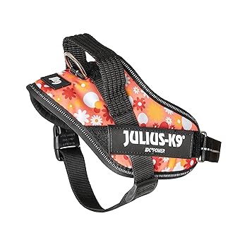 K9出張セット シークレット ケーナイン f2 starry_112-008