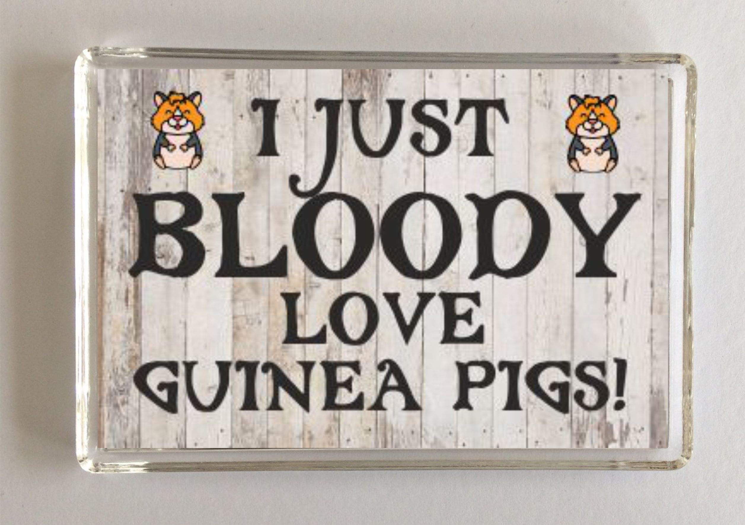 Clares Cosmetics Grey I Just Bloody Love Guinea Pig, Novelty Fridge Magnet, Present For Birthday/Christmas For Animal Lovers