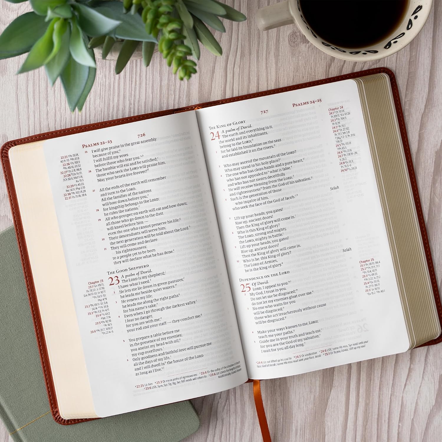 CSB Single-Column Personal Size Reference Bible, Burnt Sienna LeatherTouch, Black Letter, Presentation Page, Cross-References, Footnotes, Full-Color Maps, Easy-to-Read Bible Serif Type