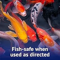 Vista 5 de API POND ALGAEFIX - Botella de 1 galón para control de algas