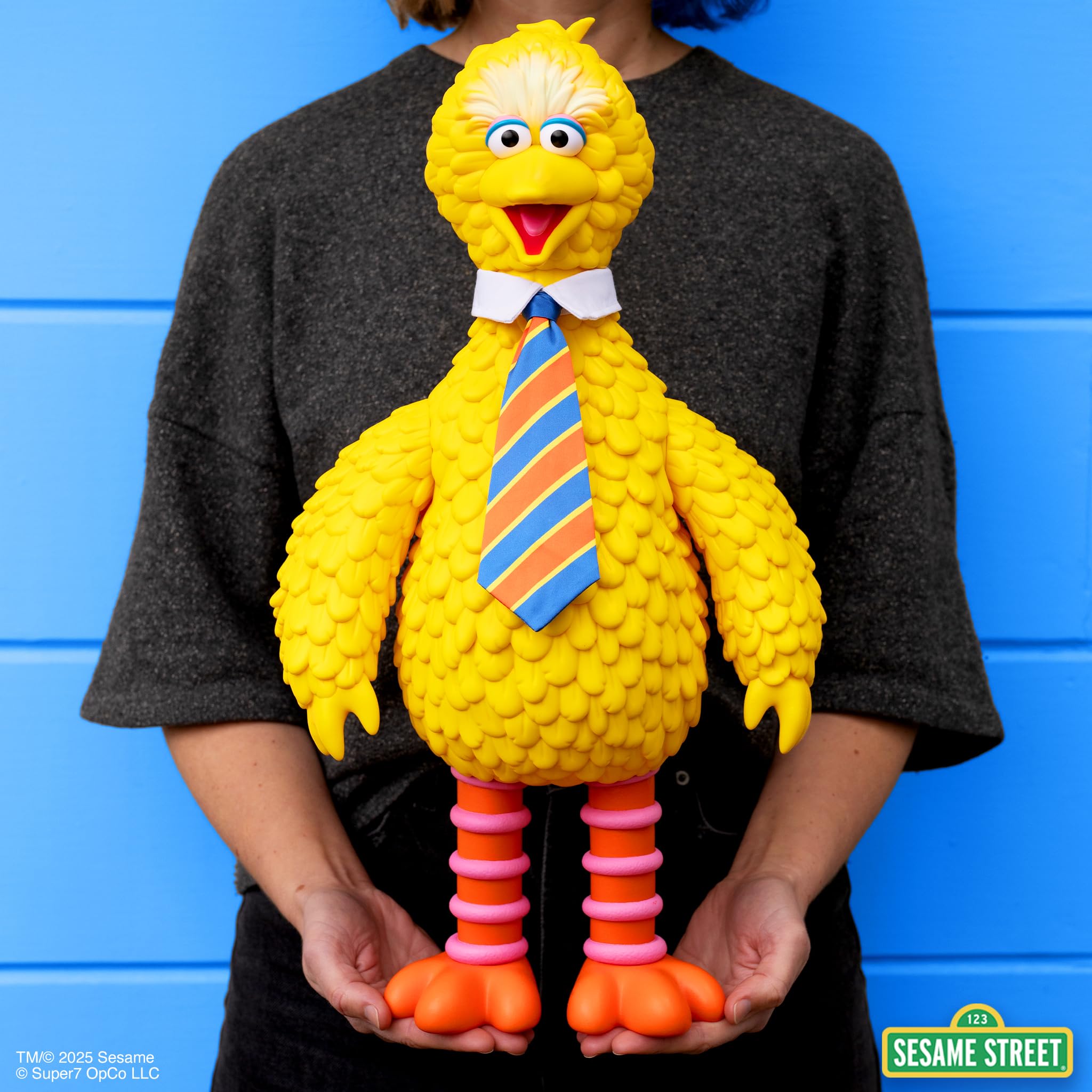 Amazon.com: Super7 Sesame Street Supersize Vinyl - Big Bird Action