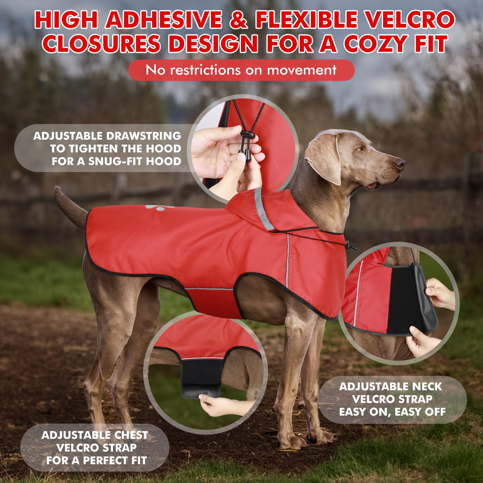 Hunde Regenmantel Kleine Hunde, Verstellbarer Regenjacke mit Klettverschluss - Ultraleicht & Wasserdicht Hunderegenmantel mit Reflektierenden Kapuze für Spaziergänge (S | Rot)