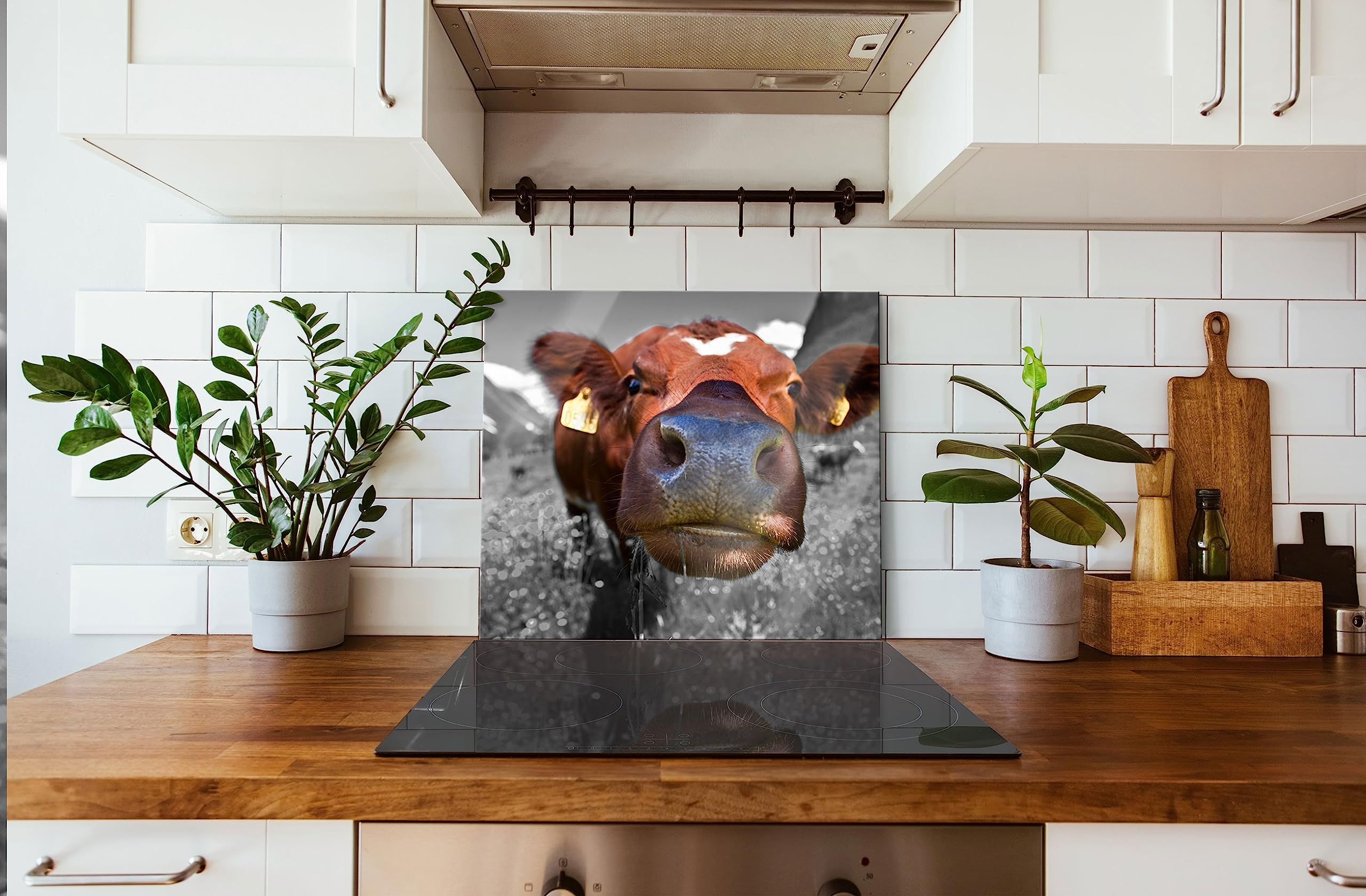 ausgewachsene Kuh auf Bergwiese Herdabdeckplatte & Spritzschutz aus Echtglas | Für Herd-Kochfelder | 60x52 cm