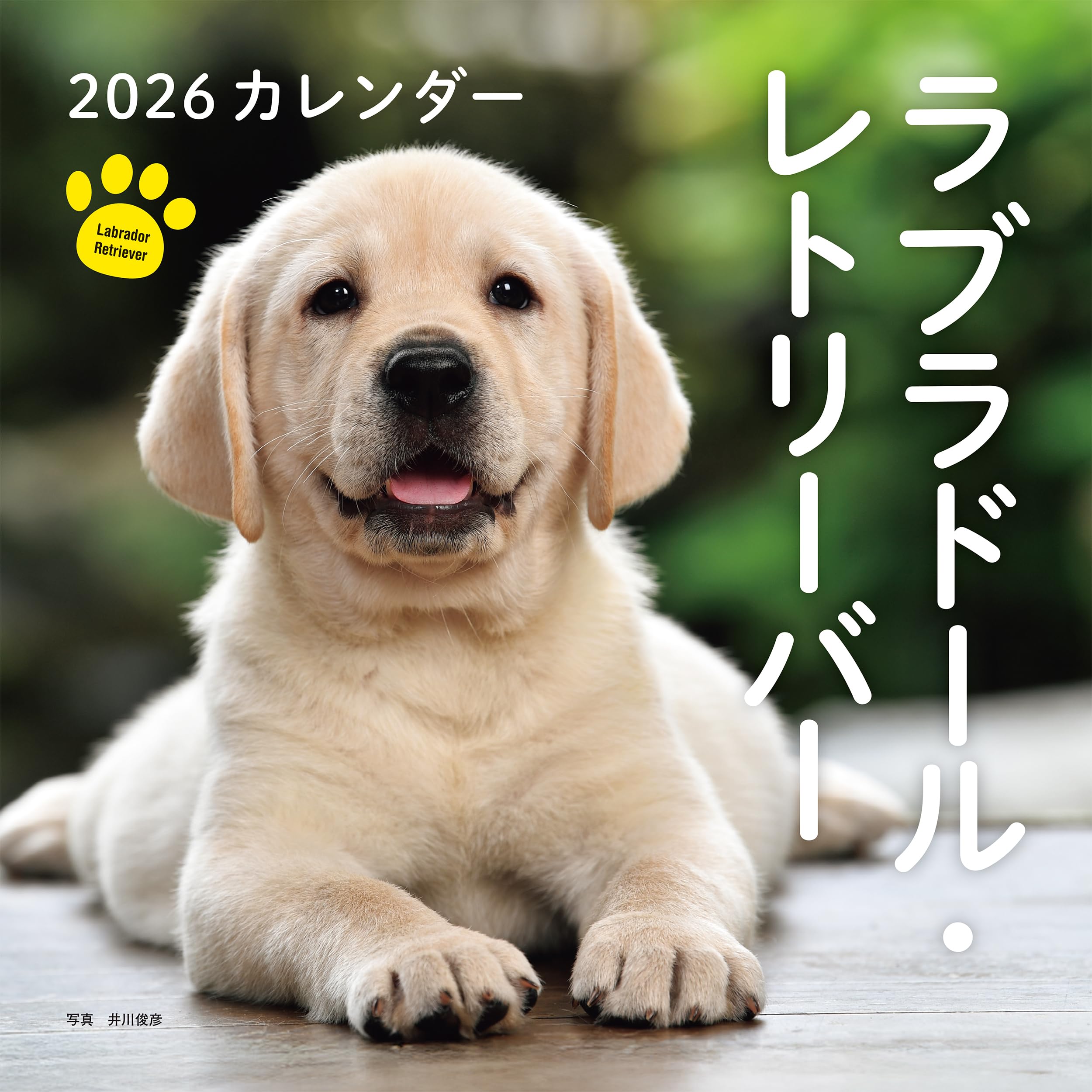 2026年カレンダー ラブラドール・レトリーバー (誠文堂新光社