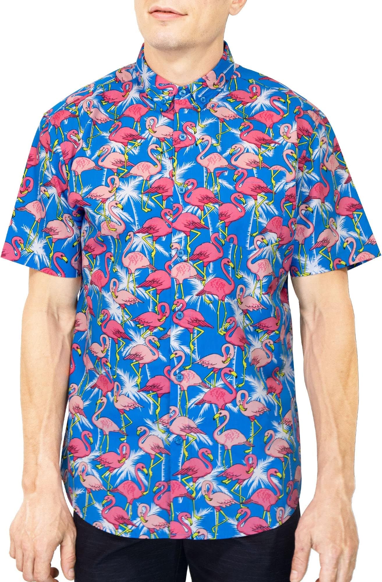 Visive Mens Short Sleeve Button Down Printed Shirts - Over 45 Novelty Prints Sizes S - 4XL
