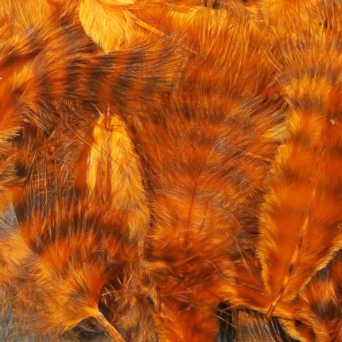 Hareline Fly Tying Grizzly Marabou – Barred Marabou Feathers for Fly Tying Streamers, Woolly Buggers & Leeches (Burnt Orange)